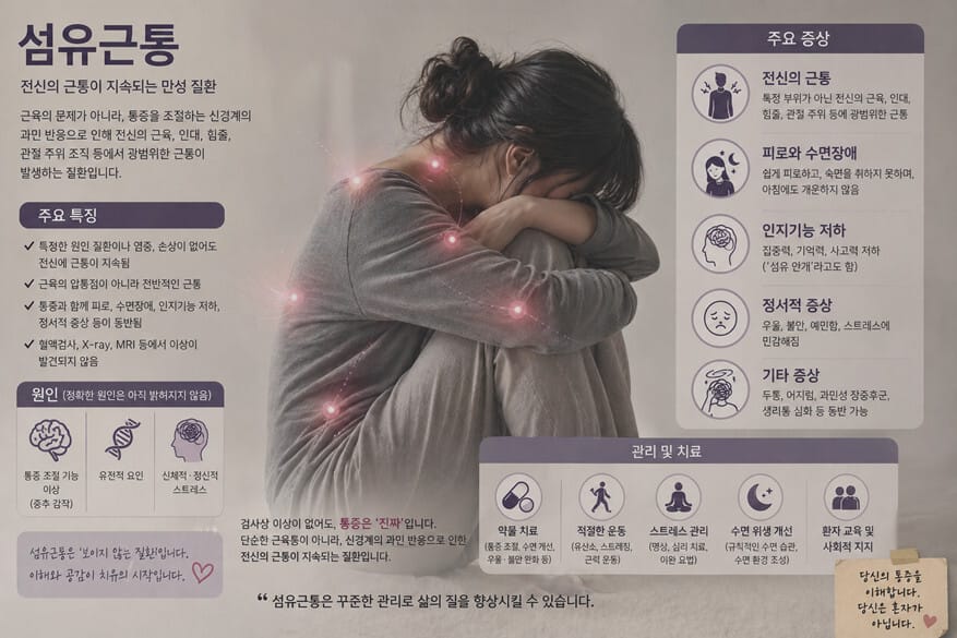 섬유근통을 설명하는 사진 및 특징